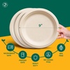image:imageECO SOUL 10 Inch Disposable Bagasse Paper Plates 100 Pack Round200