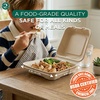 image:imageECO SOUL 8x8 Compostable Clamshell Food Containers 100 Pack8 x 8 Inch 100Pack