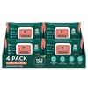Pack of 4 (48 Wipes Each)